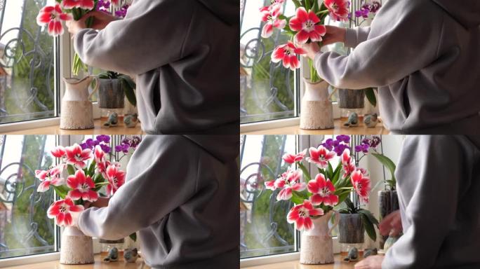 视频中，一名妇女将一束美丽的春季郁金香放在私人住宅窗台上的花瓶中