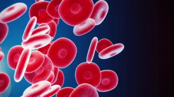红细胞细胞基因血液微生物微观血液