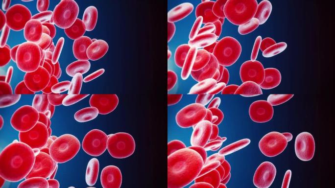 红细胞细胞基因血液微生物微观血液