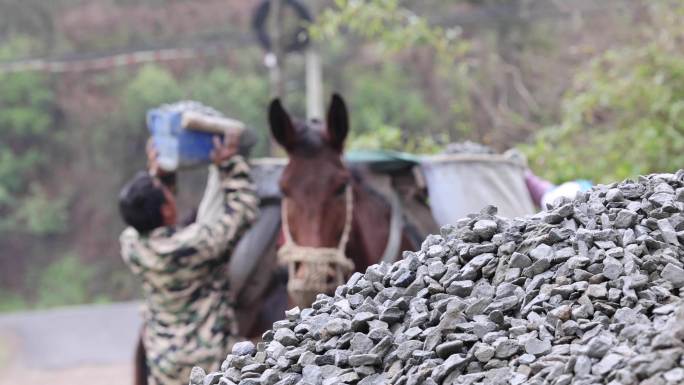 毛驴运输物资马帮运输队装卸石子建材慢动作
