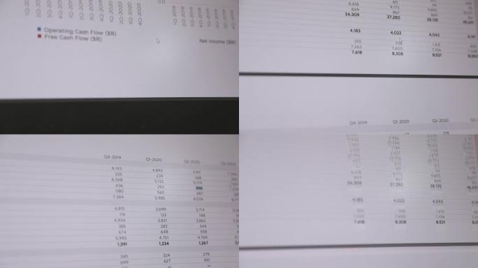 在计算机上浏览公司的财务收益报告报表。