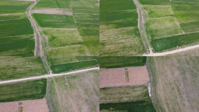 无人机将摄像机向下倾斜，同时返回绿色的田野。