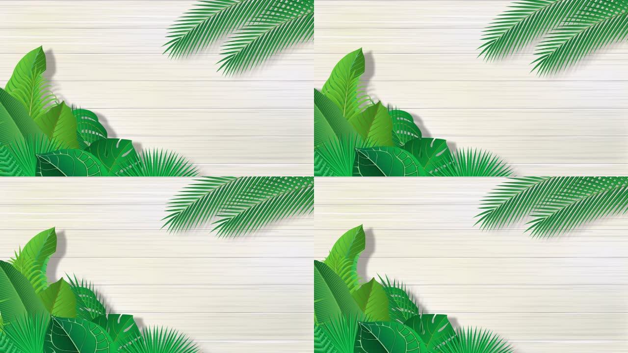 热带植物叶子和白色墙壁的视频素材
