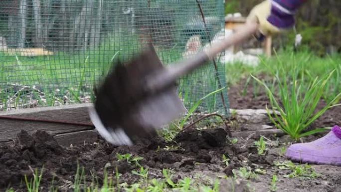 一位老妇在村里的花园里用铲子挖土