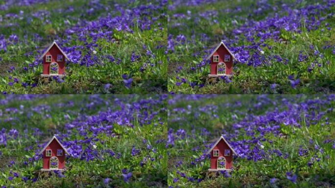 春天，草地上有紫色花朵的小房子