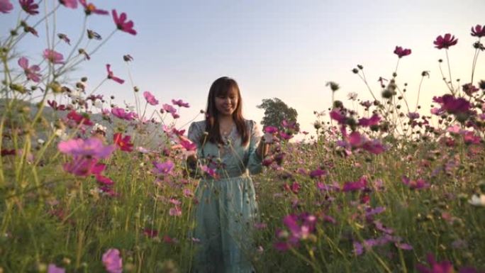场景慢动作的亚洲女人在日落时游五颜六色的花田花园，度假放松的概念