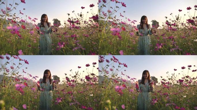 场景慢动作的亚洲女人在日落时游五颜六色的花田花园，度假放松的概念