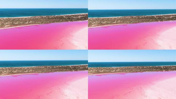 空中，明亮的粉红色咸水湖的镜头。西澳大利亚旅游，旅游