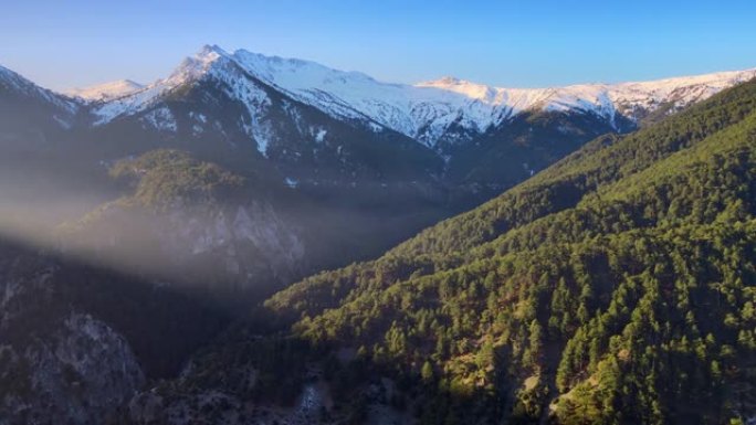 森林和山脉雪林雪景阿尔卑斯