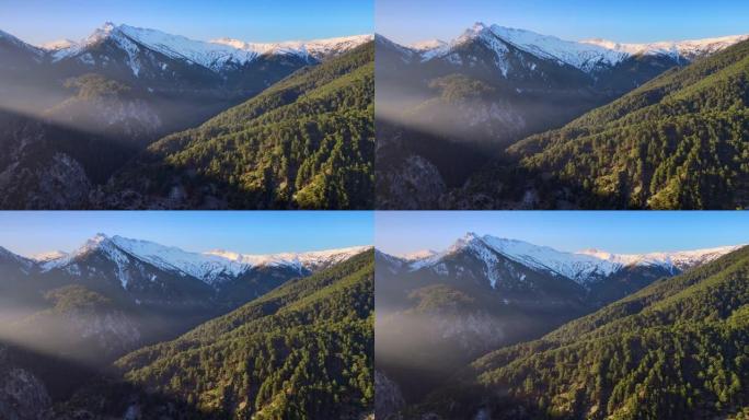 森林和山脉雪林雪景阿尔卑斯