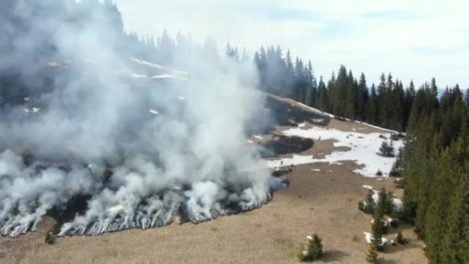 山里的森林和田野着火了。鸟瞰图