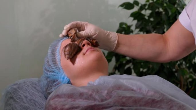 在水疗沙龙接受蜗牛治疗的女人。蜗牛粘液用于皮肤护理。