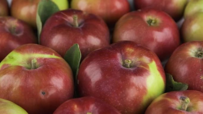 放大一堆成熟的红苹果。水果背景