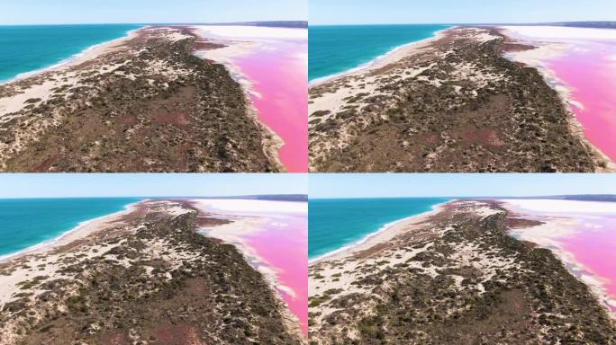 空中，明亮的粉红色咸水湖的镜头。西澳大利亚旅游，旅游