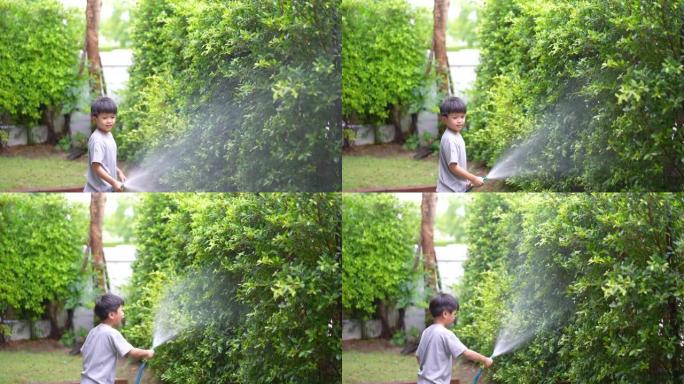 家里的孩子水树。生态环境的概念
