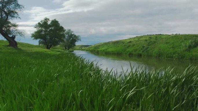 在雷雨前的一条小河岸边。干净的小河和绿色杂草丛生的河岸。