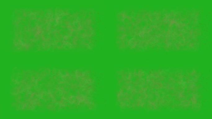 血细胞绿屏运动图形