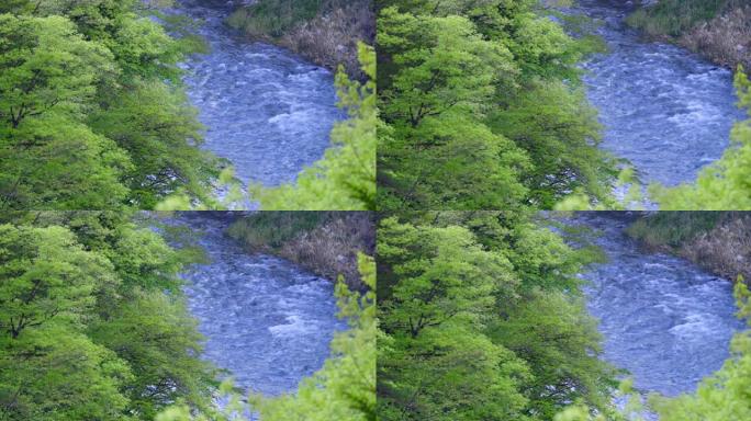 美丽的河流和流经群山的新鲜绿树