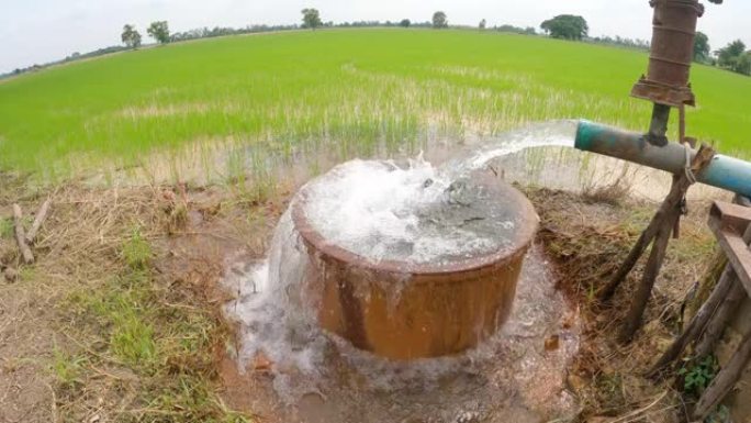 广角，水从管道流入混凝土盆，流向绿色稻田。