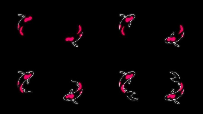 锦鲤。黑色背景上的鱼轮廓的霓虹灯动画。鲤鱼镜头