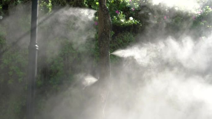 树上的雾水或雾喷嘴设置