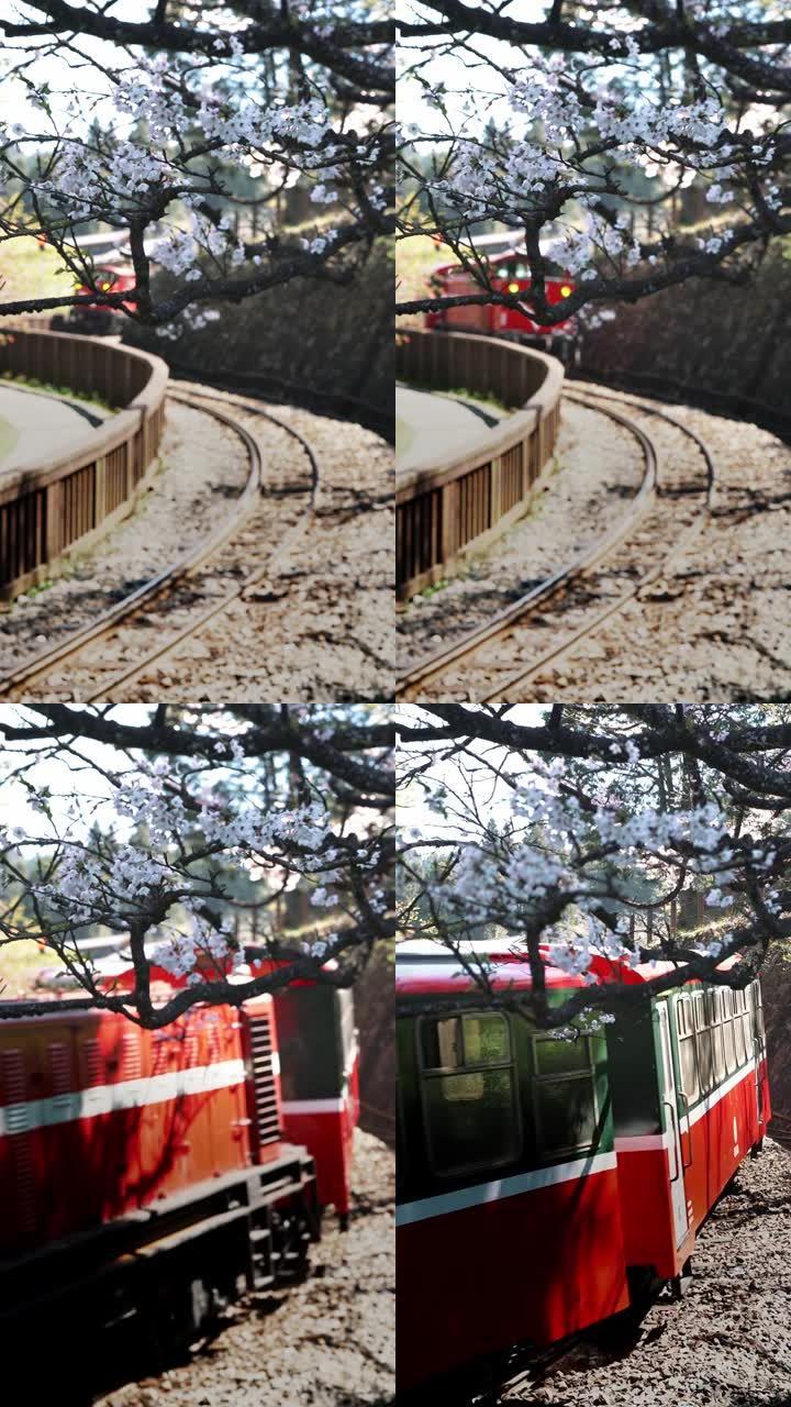 春天的风景手机竖屏桃花红色小火车驶过