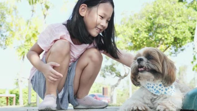 快乐的亚洲女孩触摸户外公园的小狗，生活方式的概念。