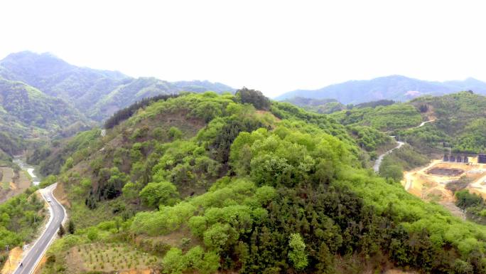 4k森林大自然风景大山航拍2