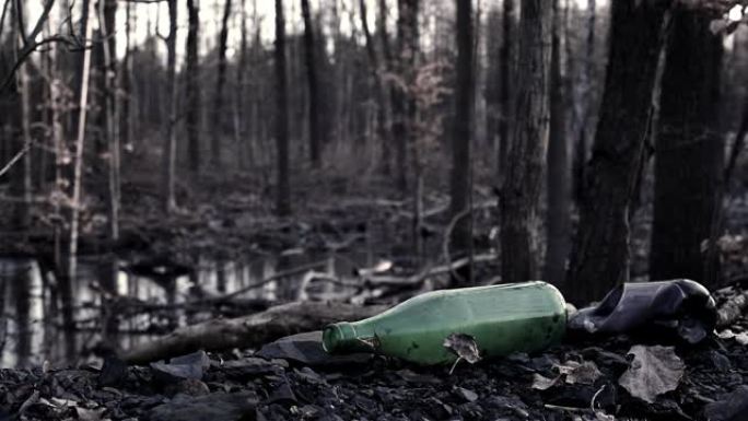 森林林地中的塑料垃圾。环境中的垃圾废物。在自然保护的概念中，从污染中清空用过的脏瓶子。生态学概念。