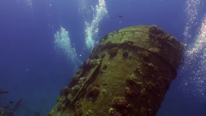 在红海的珊瑚礁阿布努哈的水下沉船附近的潜水员。