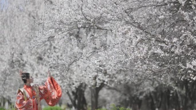 汉服的中国女性，古代服饰