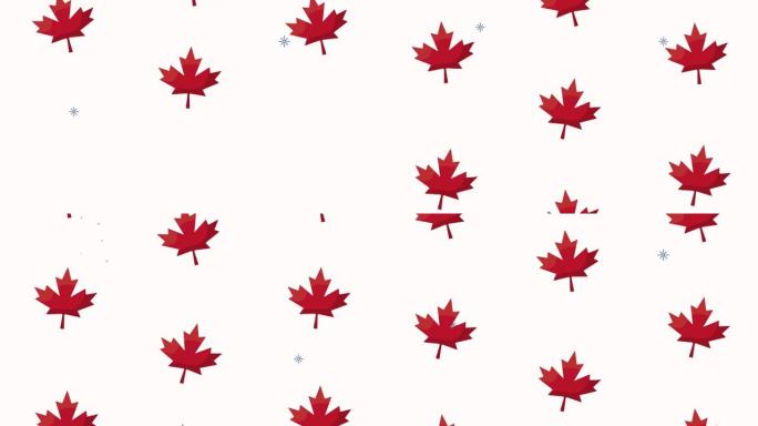 加拿大庆祝枫叶图案