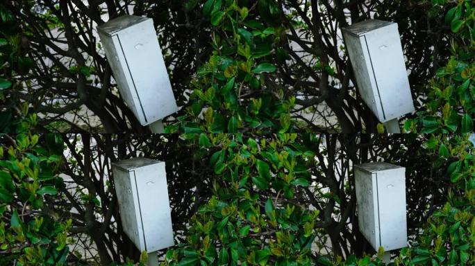 白色金属变电箱位于绿树树叶之间