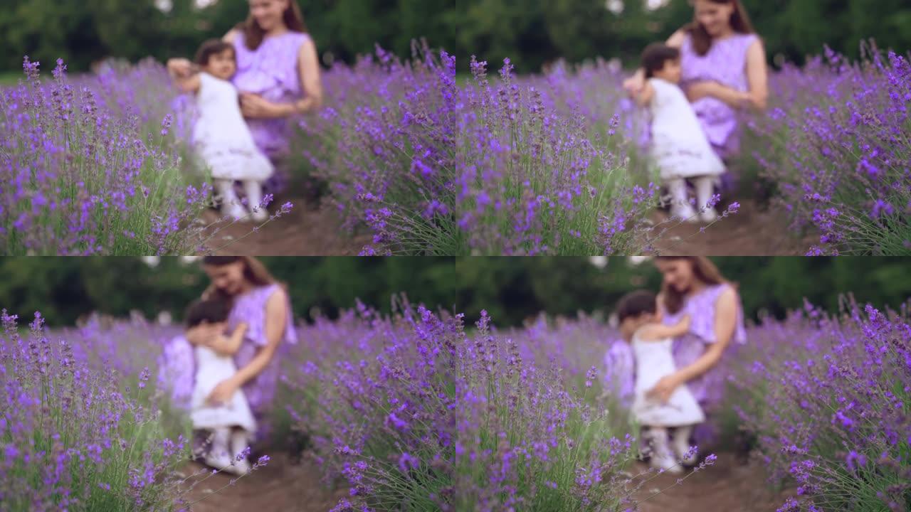 母亲在薰衣草地里拥抱和亲吻小女儿。