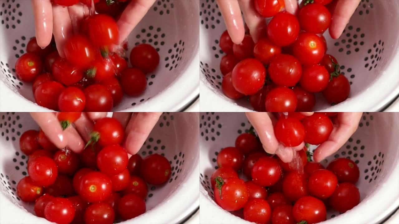 洗樱桃番茄