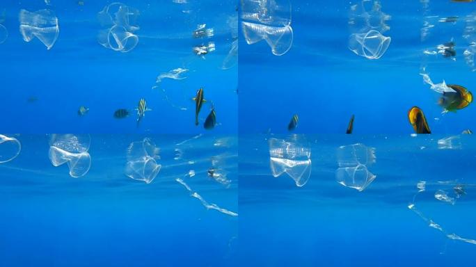 许多塑料垃圾在蓝色的水中游泳，sinrays的彩色热带鱼。水下射击。海洋的塑料污染。红海的大规模塑料