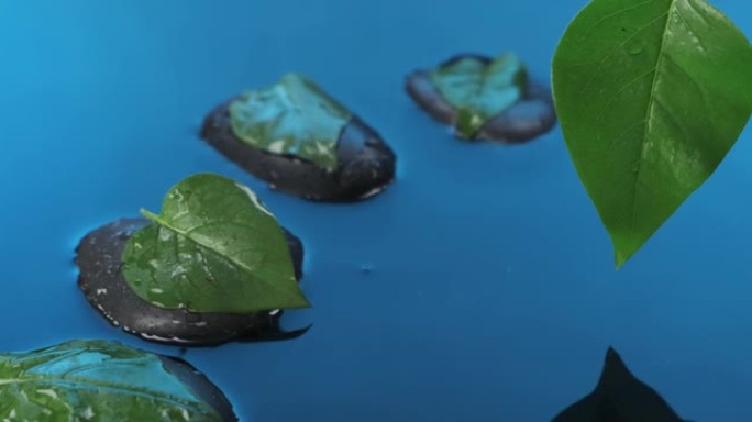 水滴落入蓝色的水中。水中绿叶的黑色石头。