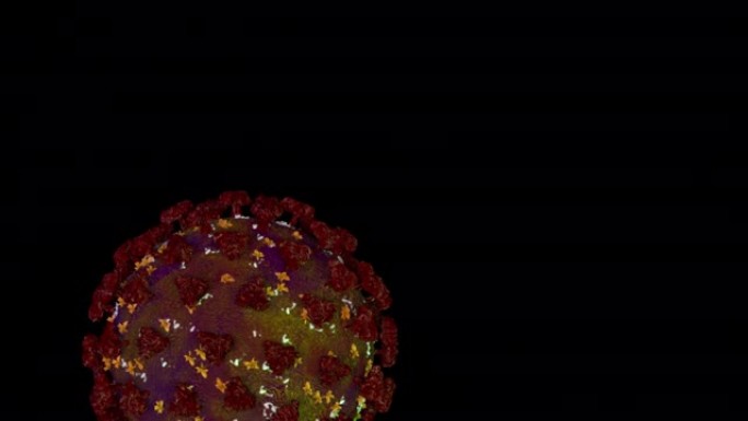 冠状病毒或新型冠状病毒肺炎在显微镜下将漂浮的流感病毒细胞视为危险的流感毒株病例，作为在黑色背景上隔离