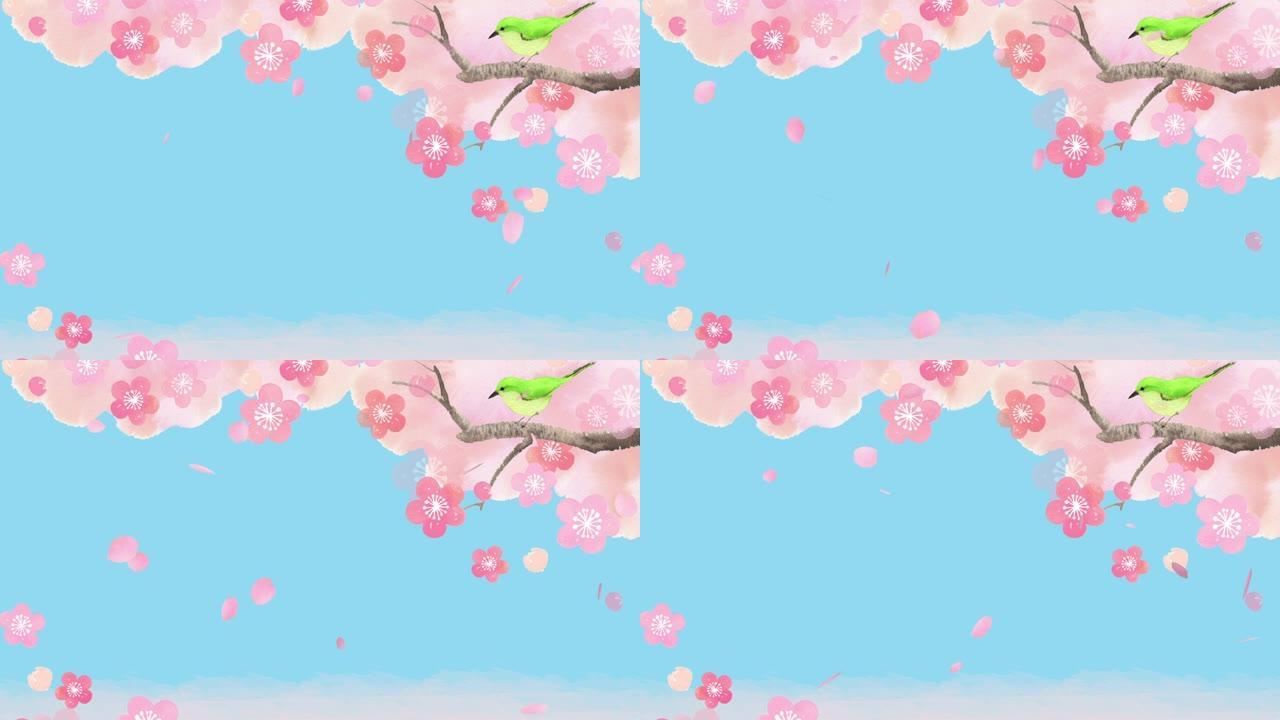 春季动画镜头。樱花飘扬。