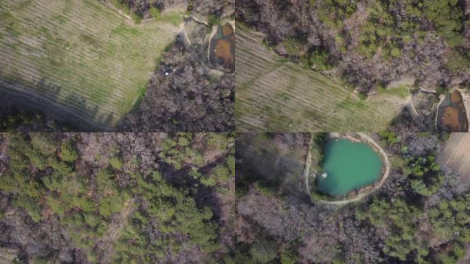 一场长期火灾后森林重建的俯视图。库存镜头。一些树木正在变绿，附近有麦田。山麓之湖，碧水。