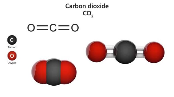 二氧化碳 (CO2)。无缝循环。