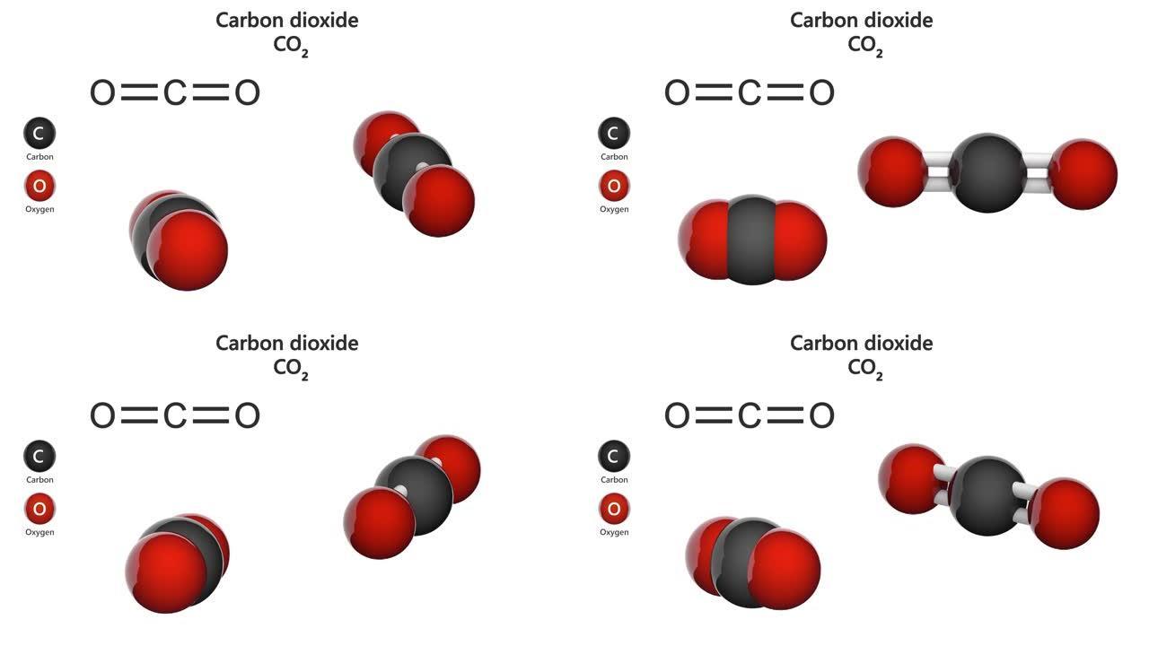 二氧化碳 (CO2)。无缝循环。