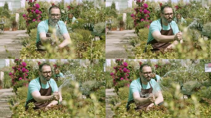 温室男主人在植物上泼水