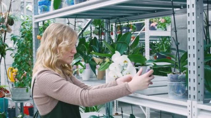 一头金发的女人用室内花朵在智能手机上自拍。温室的架子上有许多绿色的花朵。出售植物。小型企业