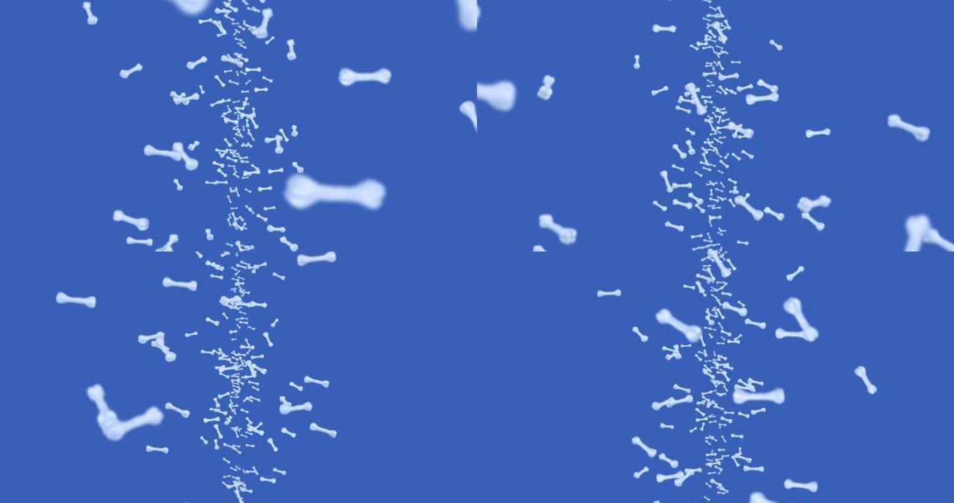 在蓝色背景上飞行许多骨头。狗骨图标。宠物食品。骨骼旋转的3D动画。循环动画。