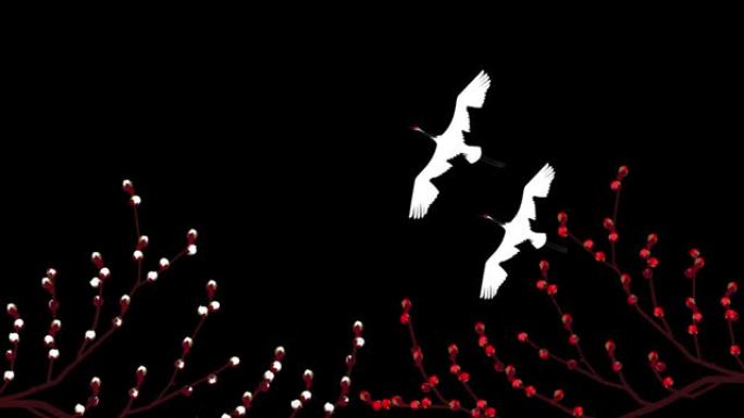 丹顶鹤和白梅红梅。视频背景素材