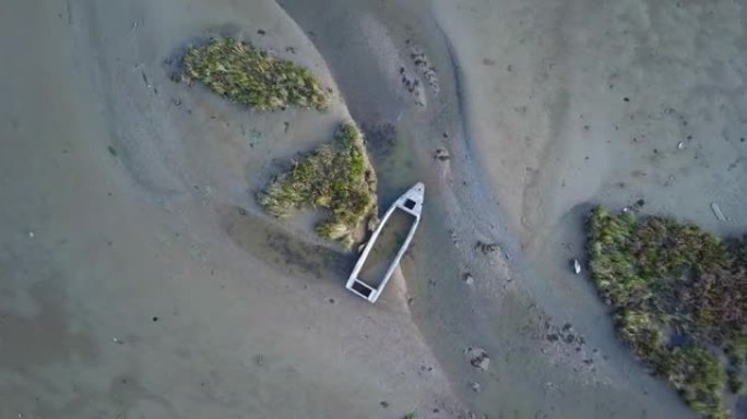 在受污染的沙地上，灌木打破了摩托艇船体