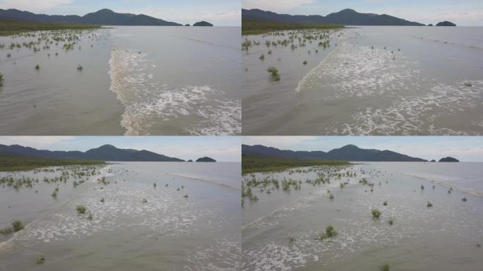 波浪击中红树林