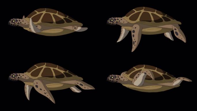 棕色海龟在水下游泳4k阿尔法伴侣