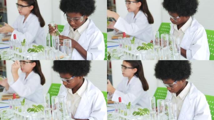 学校生物学实验。种族学校学生在课堂上使用设备科学实验进行测试。